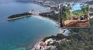 Özak GYO Club Med arazisinde yapacağı otel için ağaç katliamına başladı!