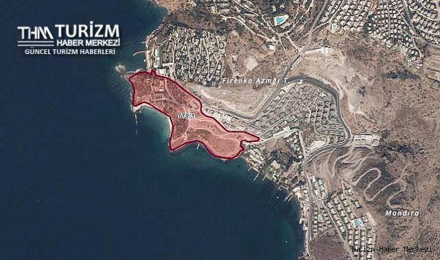 Bodrum'da deniz doldurularak Akdeniz foklarının yaşam alanına otel yapılacak!