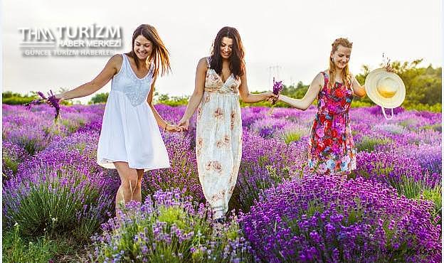 En popüler festival rotalarıyla dünyayı keşfedin!