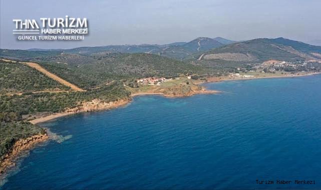 Deniz kenarındaki ormanlık alanların turizme tahsisi ile ilgili flaş karar! Resmi Gazete'de yayımlandı
