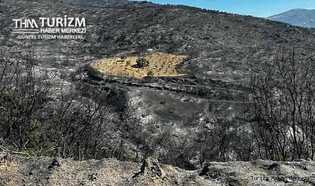 Yangın felaketinde mucize! Bir tek o sapasağlam kaldı